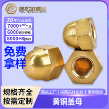 �S��ֱ�N�S�~�w����ĸ�~�wĸһ�w�A���^��ñ�~�B�w�w����ĸM3M20