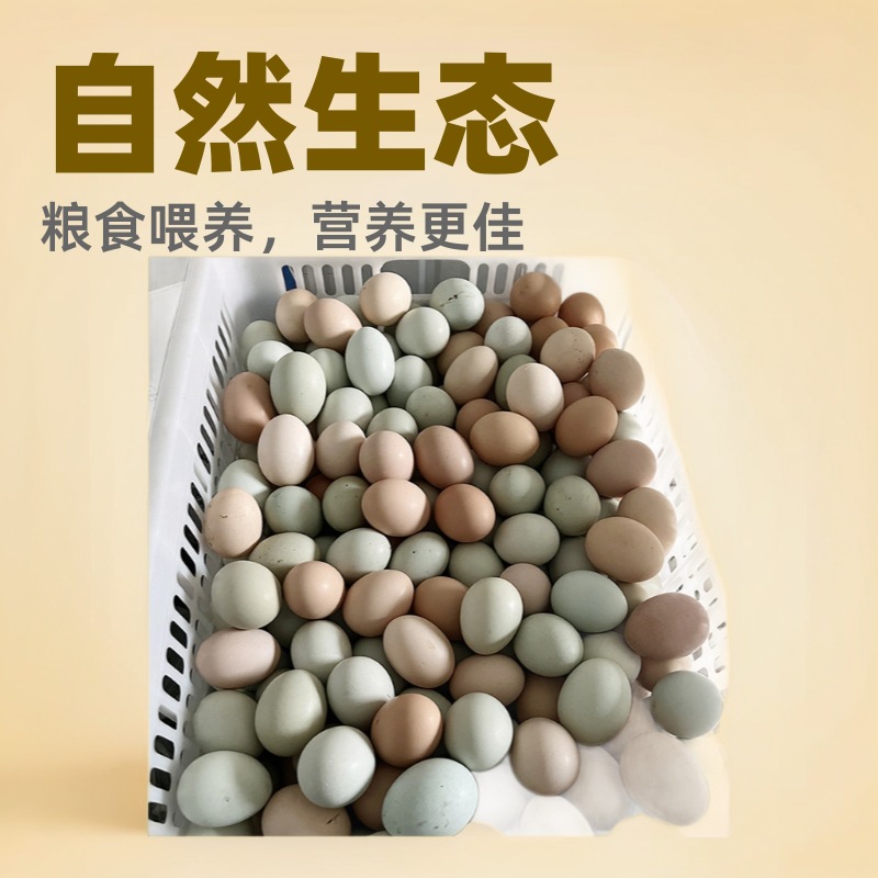 深山散养土鸡蛋农家生态粮食走地鸡鲜蛋30枚装包邮破损包赔鸭蛋