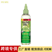 �羳���N�ϙ���Ҭ��OLIVE Oil�o�l������Ȼ�������o�ɿ���혰l��