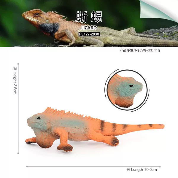127-2838 lizard