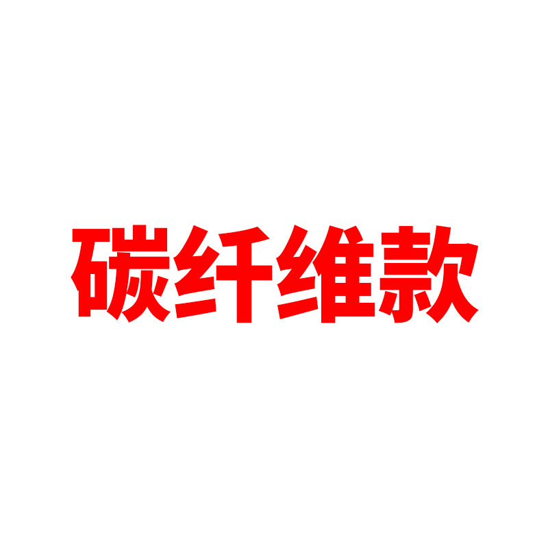 탄소섬유 모델