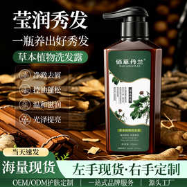 生姜何首乌洗发水批发洗发水控油蓬松洗发露洗头膏草本生姜洗发水