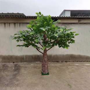 ���������ͩ�������~��ҾӾƵ��b٘��~�̈����^����쾰�[��