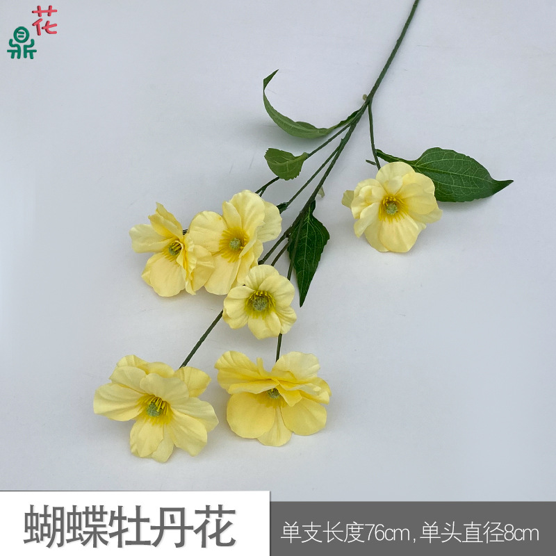 나비 모란꽃 BD 옐로우