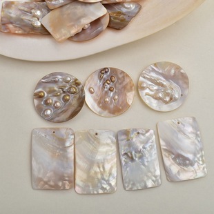 Round Rectangular Shell Crafts Ornaments Home Accessories Fish Tank Aquascape Natural Shell DIY Materials