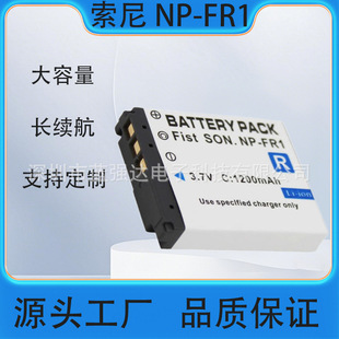 NP-FR1�m���������C늳�T30 T50 P100 P150 P200 P120 V3