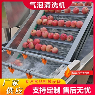 定制蓝莓气泡清洗机气泡喷淋式杨桃清洗设备果蔬加工清洗流水线