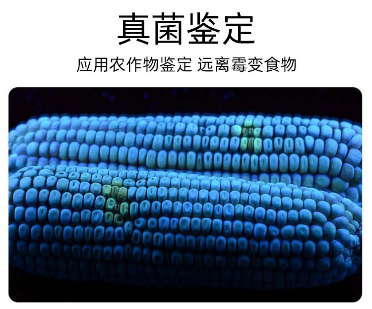 未标题-1_12.jpg