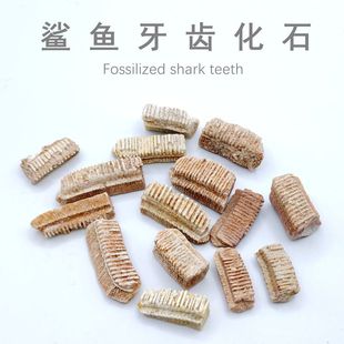 Ħ������~���X��ʯ�����~�����ź������ﻯʯ���|���ս̌W�˱�