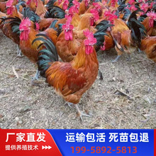 һ���g�t�����u�繫������ڬ��u�絰�u���u����\ݔ��������