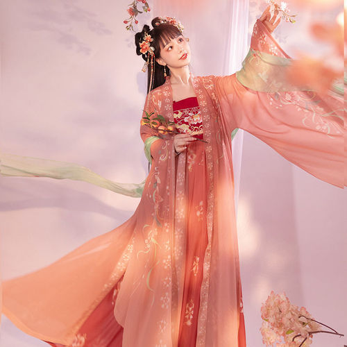 Tang Dynasty Hanfu Fairy dress for women big sleeve shirts myrobalan skirts Tang Dynasty Hanfu Fairy dress for women adults hanfu 