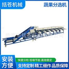 �¿����һ�w�C 8����׼���xëˢ��ˢ�����