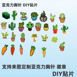 胸针;动漫明星挂件;钥匙扣及钥匙扣配件