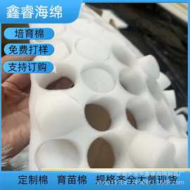 有机蔬菜栽培海绵批发 PU种植海绵 定植海绵无土吸水培育种植棉