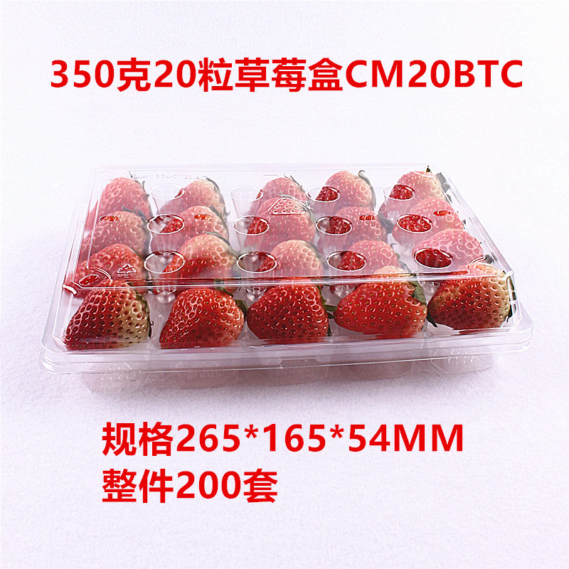 직사각형 350g 딸기 상자 20개 CM20BTC 전체 200세트, 애완동물