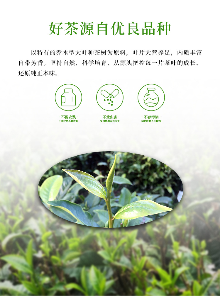 英红优品九号250g详情页_03