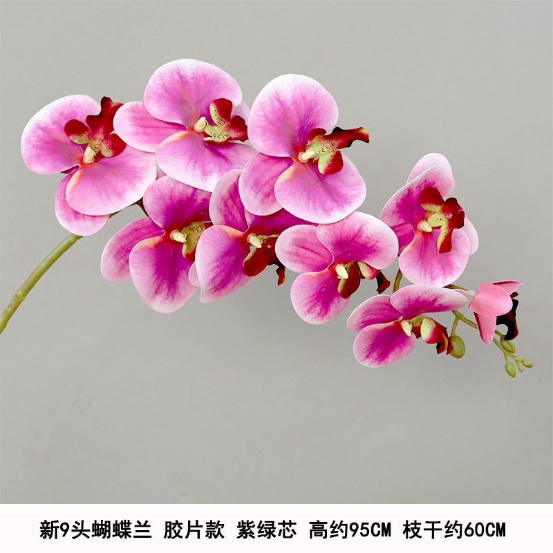 9-head film waterproof phalaenopsis purple 1