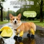 四季耐磨薄款防水小狗