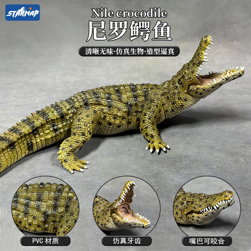 Simulated Wild Solid Crocodile Animal Model Nile Crocodile Tyrannosaurus Yangtze Crocodile Crocodile Kidsren's Cognitive Toy Ornaments Simulated Wild Solid Crocodile Animal Model Nile Crocodile Tyrannosaurus Yangtze Crocodile Crocodile Kidsren's Cognitive Toy Ornaments