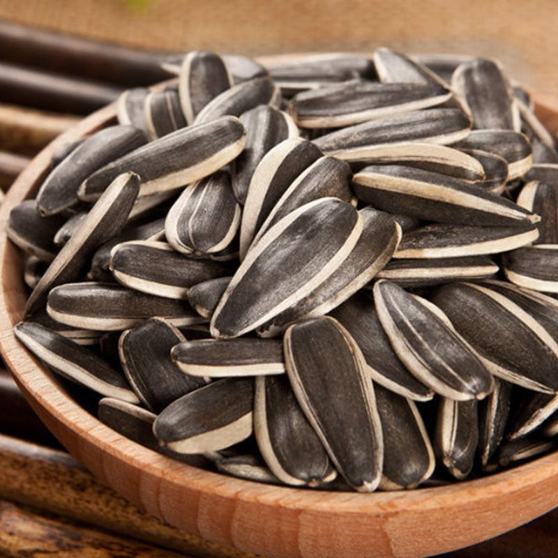 신선한 멜론 씨앗 1.5kg [순중량]