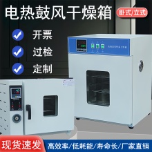 批发电热恒温鼓风干燥箱高温小型工业烤箱烘干机改大灯实验室