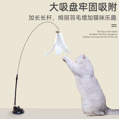 新商品の強力吸盤で猫をからかう棒は鈴の長い棒を持っています。