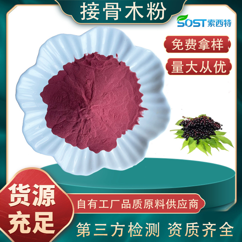 水溶性接骨木莓粉 接骨木提取物 生产厂家现货供应 可寄样品