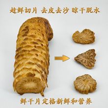 ��ɐ���r��Ƭ��ɐ���r��ƬȥƤ�r�ص����ɹŰ�����؛�ص�������
