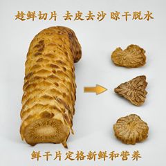 カンカニクジュヨウの新鮮な乾燥した切れの内モンゴルのアル善の肉のカンカニクジュヨウの新鮮な切れの砂漠のカンカニクジュヨウは菊の紋様を持ちます。
