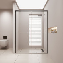 日丰一字型双移门缓冲淋浴房包框下沉式玻璃隔断卫生间家用浴屏