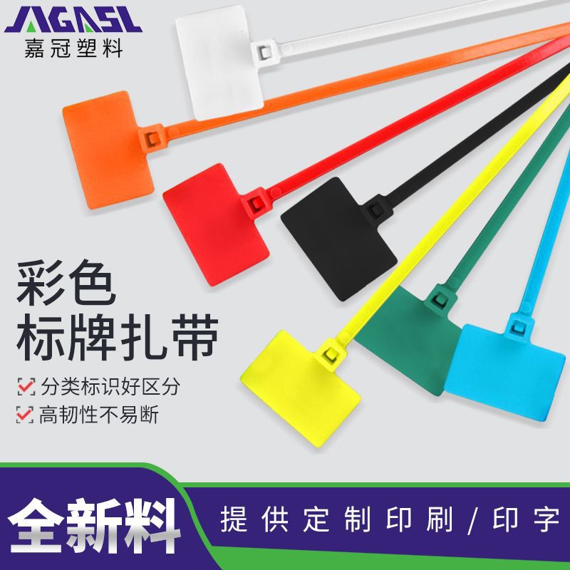 自锁式外标牌扎带电线标识牌扎带3*100*1104*150200220带标牌扎带