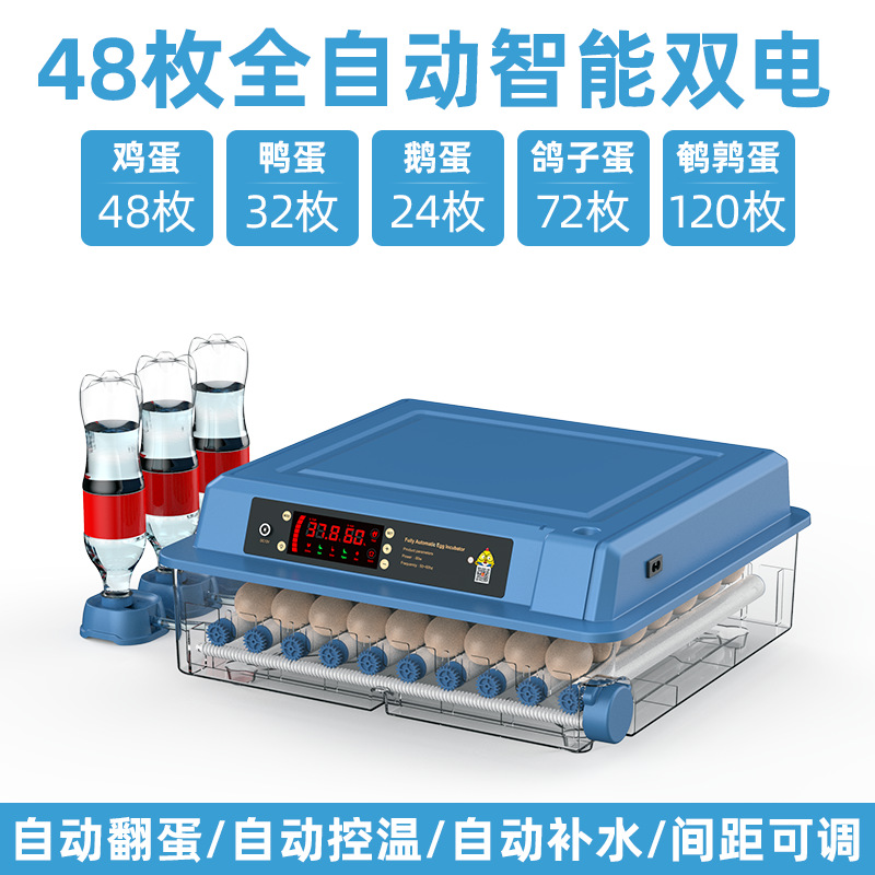 Incubadora de Huevos Inteligente para Codornices, Máquina de Incubación Inteligente para Cría de Aves, Fabricante Original