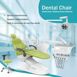 个人护理电器;其他口腔护理