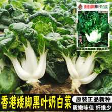 ۰_~̰ײ˷NСײ˺Ͳ˴ļ׷N߲˷N