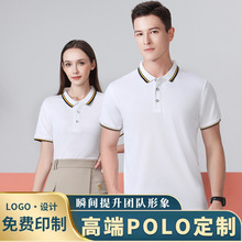 POLO ӡlogoIĻޏVtIl