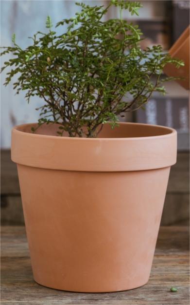 赤い陶器の植木鉢、吸水性、通気性、根腐れしない粘土トレイ、浮遊粘土ポット、大型の緑の植物多肉植物ポット|undefined