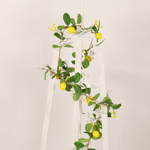 ���� �羳���滨�b��ٗl�����r���b��ٗl�Ҿ��T���T��T�1.7��