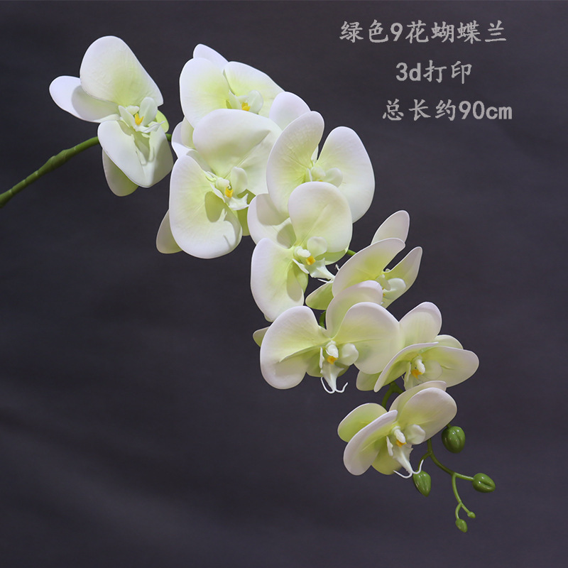 Phalaenopsis verde 9-Flor