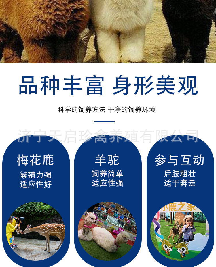 6bc63aaa96021d32a5de22a15ede70