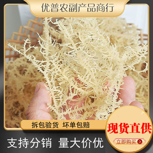 ��횲�500g��؛��ʯ���˺��a���庣�l��¹�ǲ˺�����ʳ���������