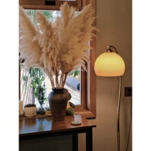 2026���JȔ�ɻ������W�t�滨�͏d�[�O��Ȕ������Ȼ����҃�in�R��