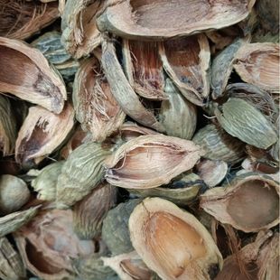 ��Ƥ ���ƚ� ��ș�Ĵ�Ƥ �������ۮa�ش��l�o�s��ë