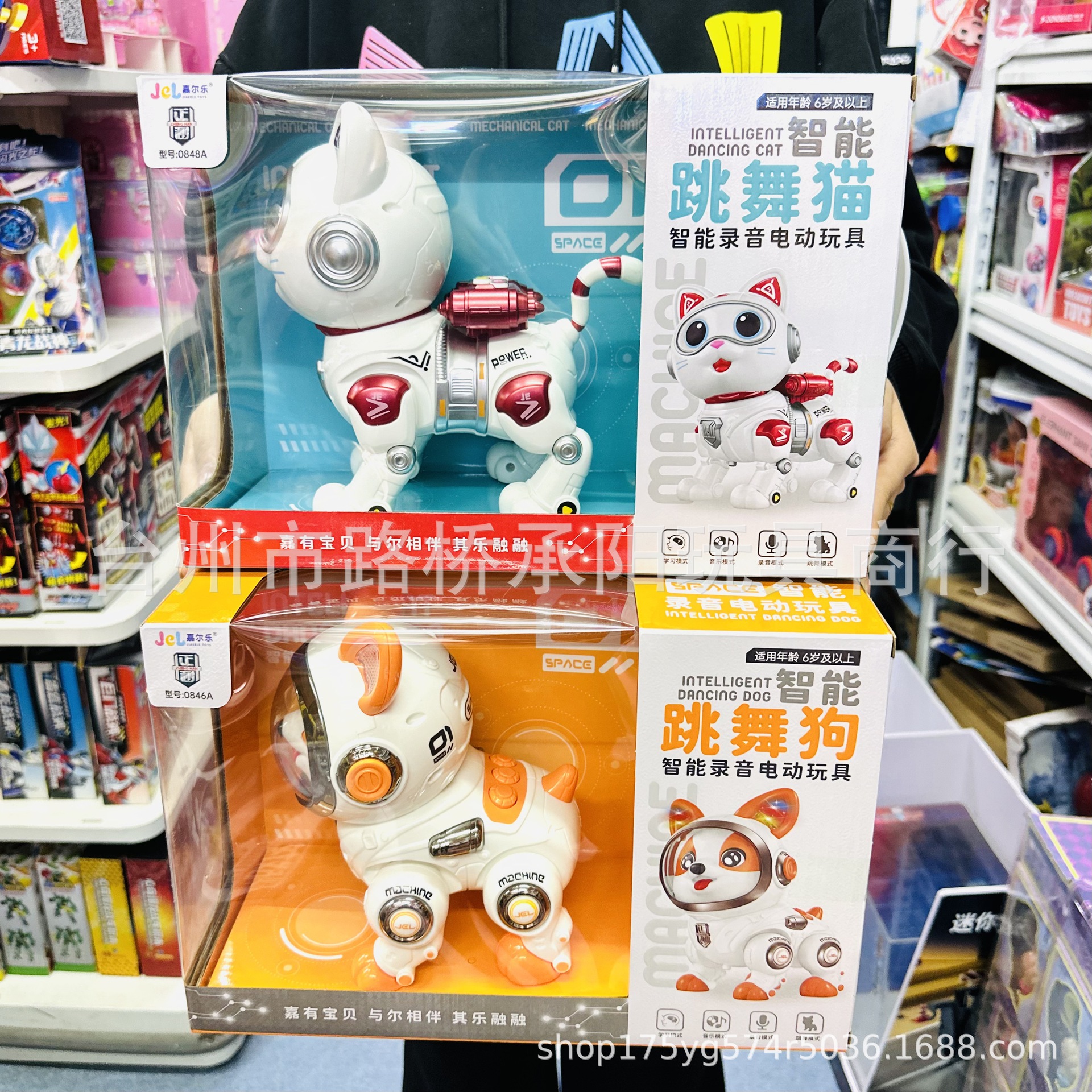 Jiaerle Smart Robot Dog, Electric Singing and Dancing Robot, Recording Robot, Robot Cat, Educational Children's Toy