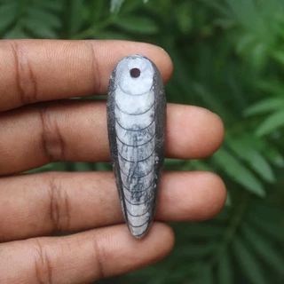 东海水晶天然三叶虫摆件原石震旦角矿石教学标本直角化石配件吊坠