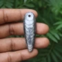 直角教学天然三叶虫原石
