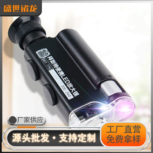 ledŴRl-240y@΢RĤWRƬpԴ