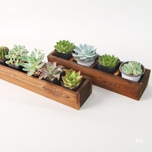 ͥԺ�����҃��L���η���ľ�����̨��̖���⻨��ľ�|������֧��