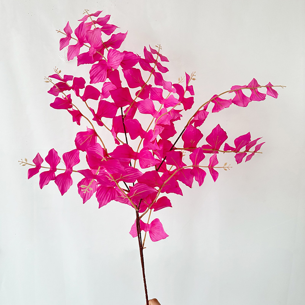 긴 나비 잎 로즈 핑크