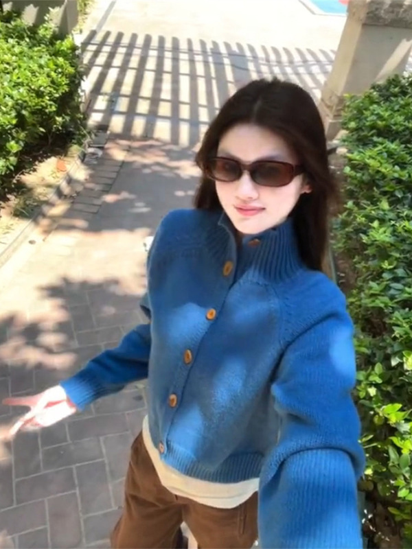 法式气质高级感蓝色立领长袖针织衫女秋季休闲慵懒风百搭开衫上衣|undefined