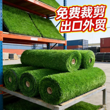 �Gɫ�����ƺ��̺����ٲ�Ƥ�b�������ͥԺ�̨������ܸ���|